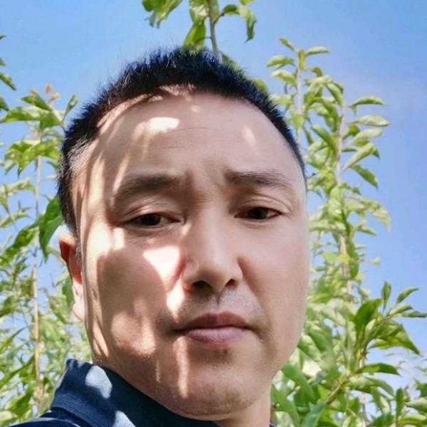 平淡保卫歌曲的照片