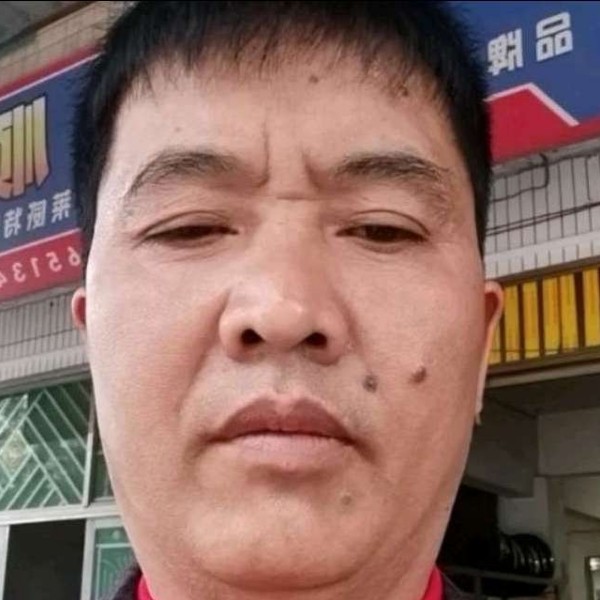 甜蜜倾心奇异果的照片