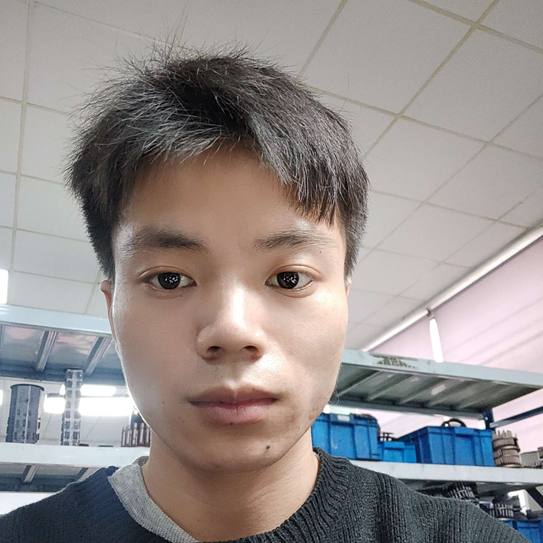小鸭子回首温柔的照片