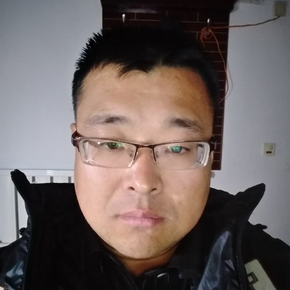 拼搏斑马的照片