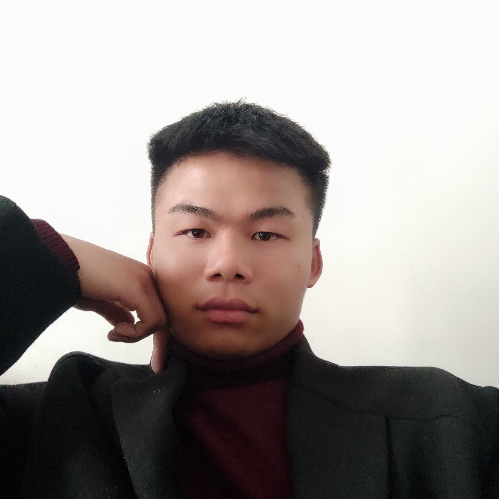 斑马吃醋勤劳的照片