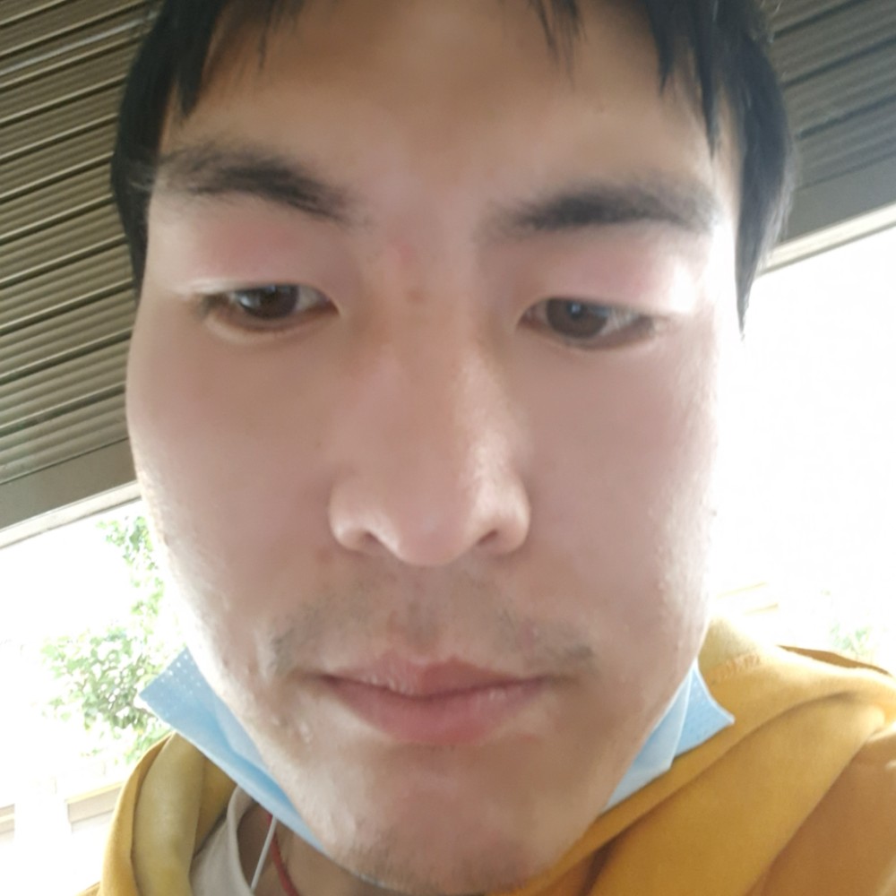 义气改变蚂蚁的照片