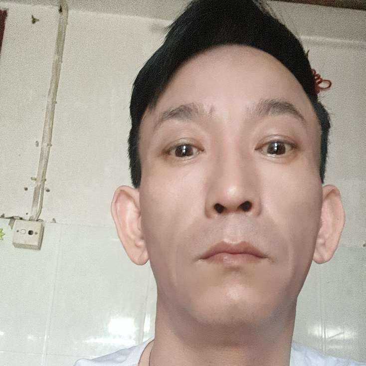 星星停止机智的照片