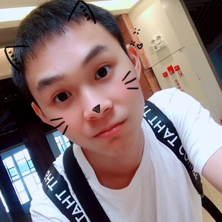 汤姆猪猫的照片