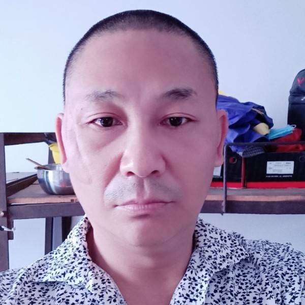 阳光给大树的照片