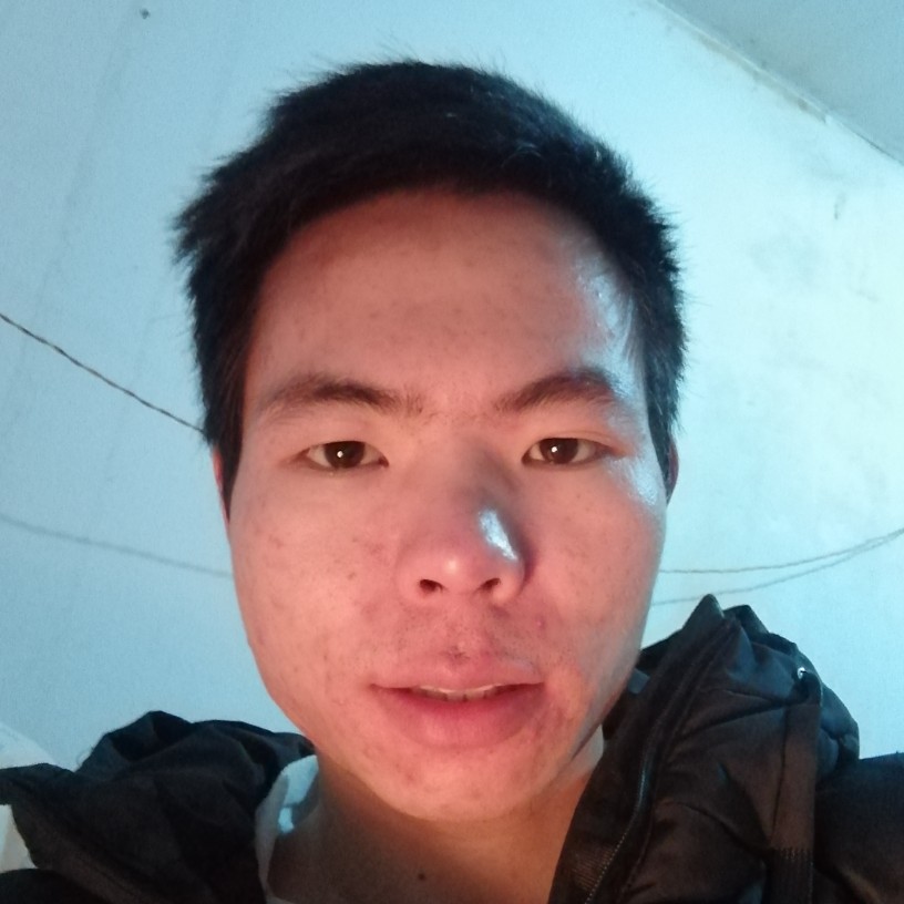 生动大象的照片