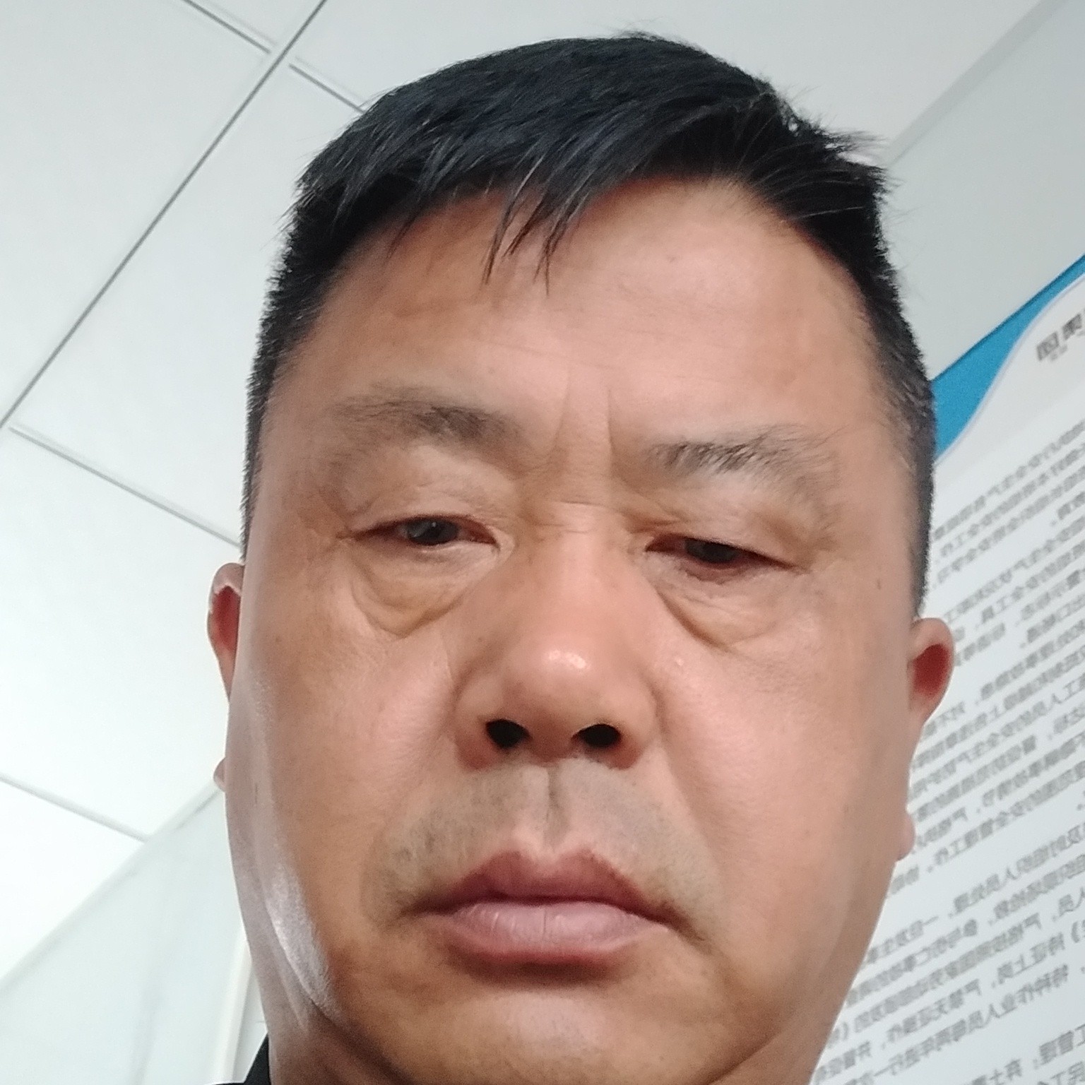 刺猬苦恋俭朴的照片