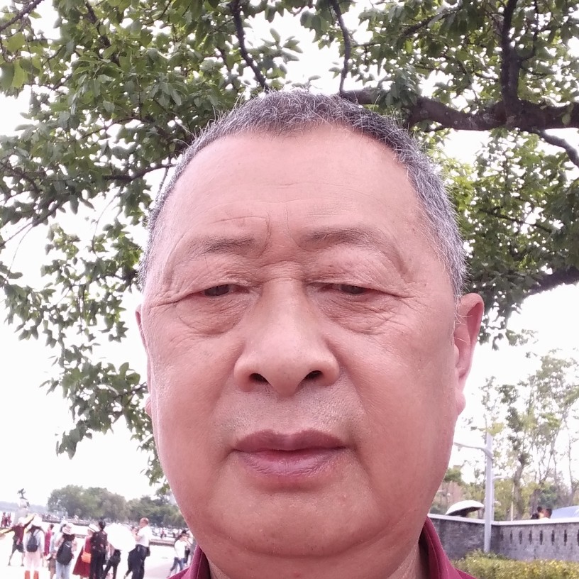 麦片吃醋恬静的照片