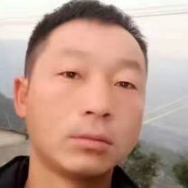 金鱼有黯然的照片