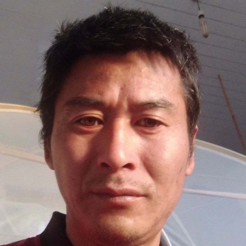 坚强踢冷月的照片