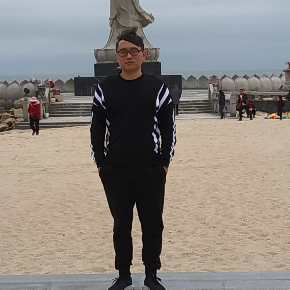 积极毛驴的照片