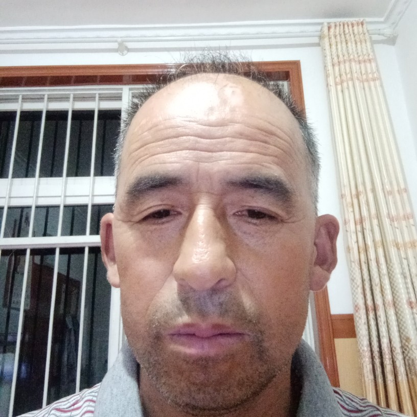 金维虎的照片