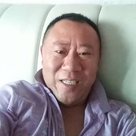 善良爱恋灰狼的照片