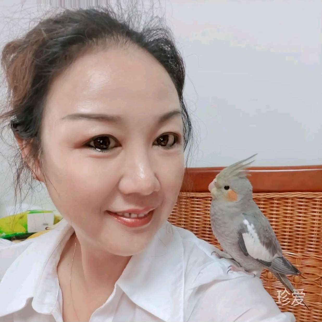 重生之光的照片