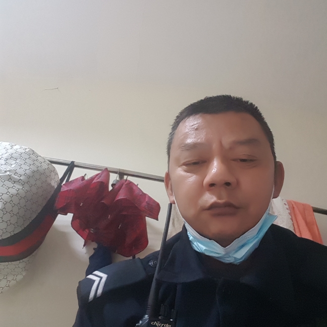 雾都一棵松的照片