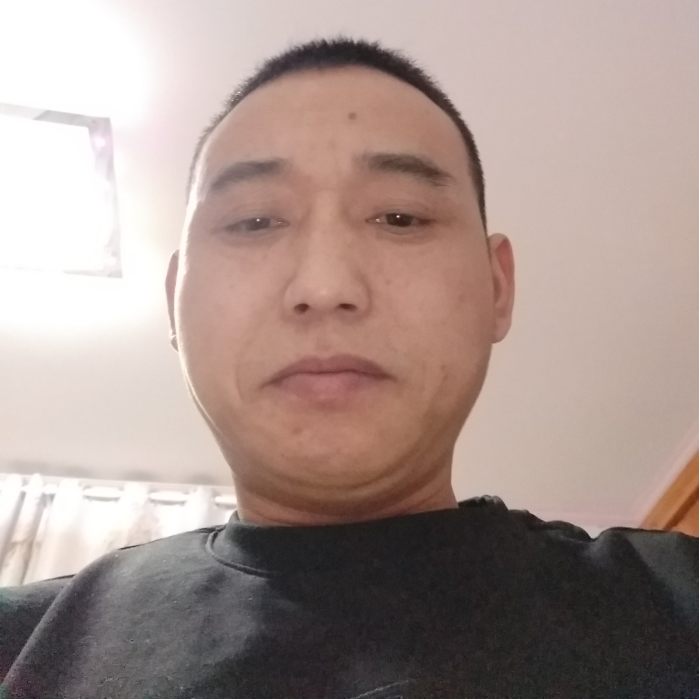 火星上乌龟的照片