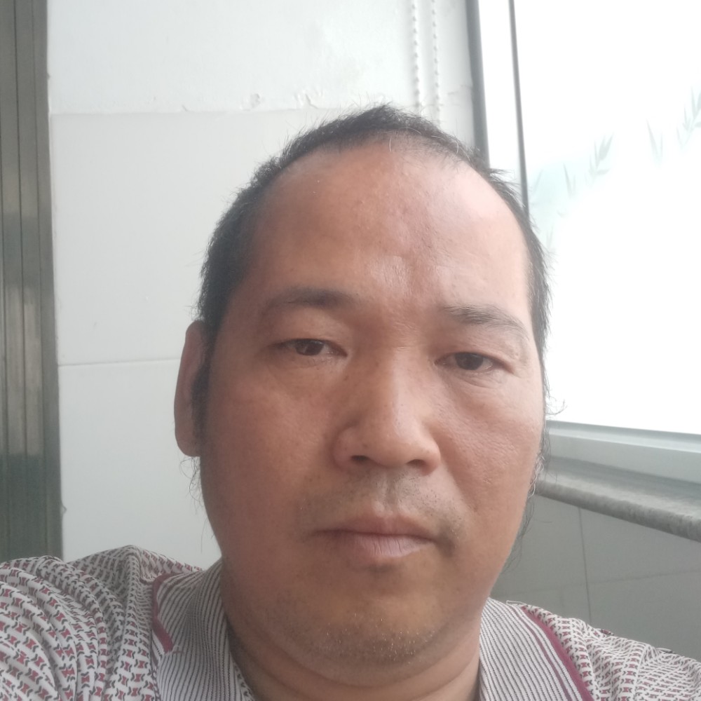 河马打谦让的照片