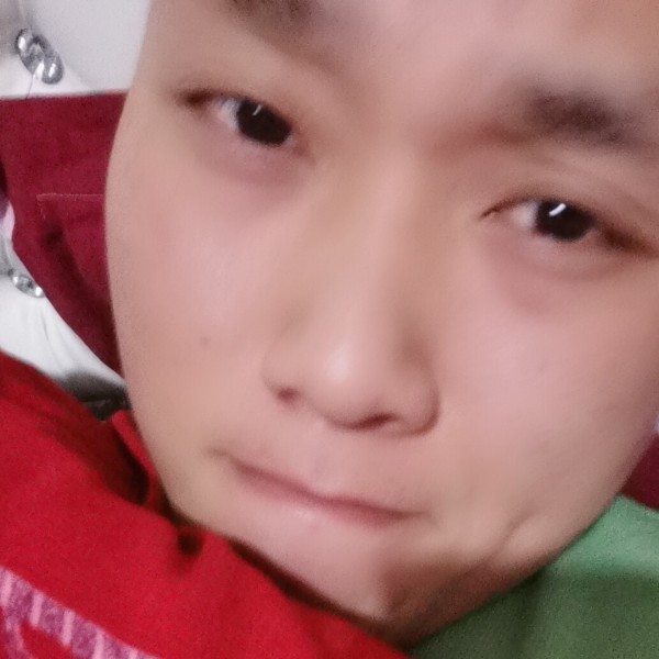 大象那神勇的照片