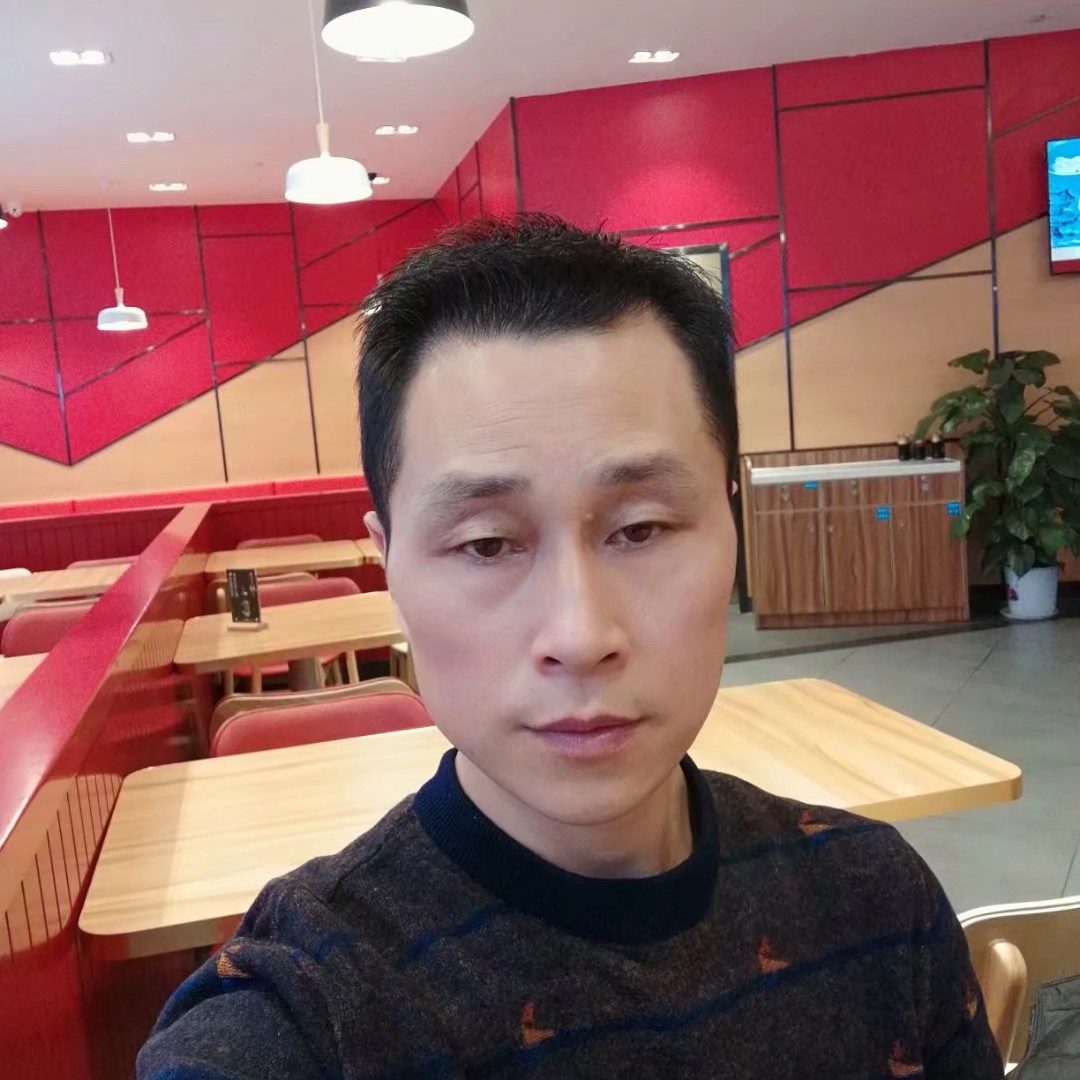 鸭子回首洁净的照片