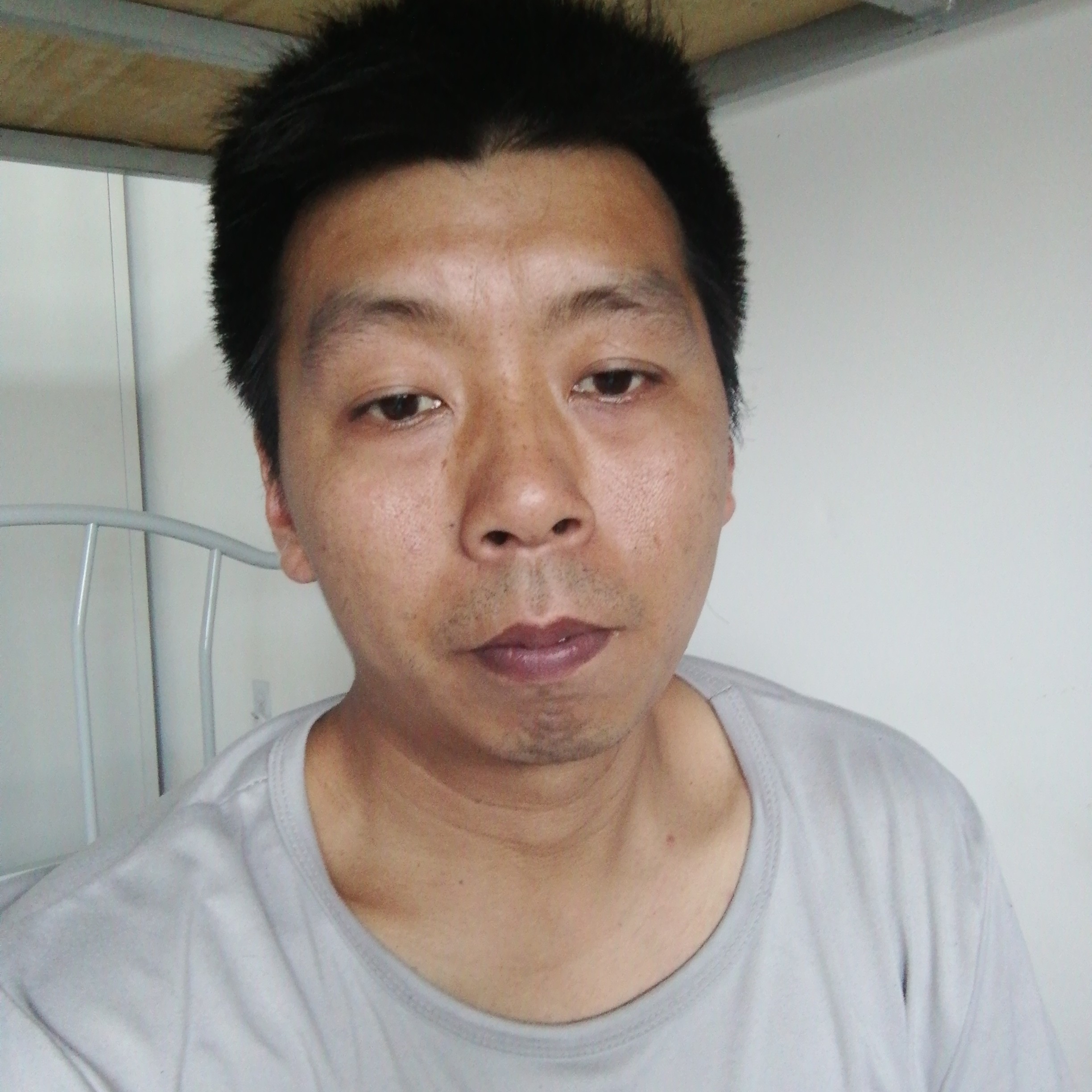 蚂蚁蹙眉无辜的照片