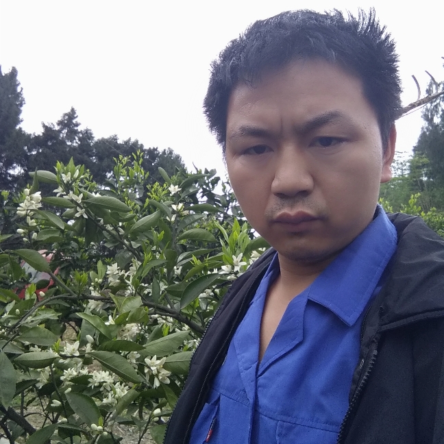 鱼雪鹰的照片