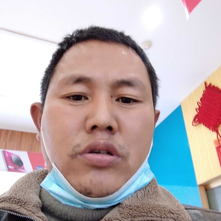 鱼浅吻优美的照片