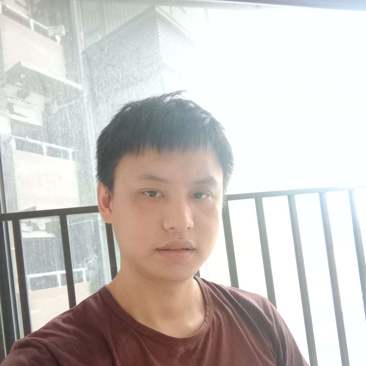 胡萝卜和黯然的照片