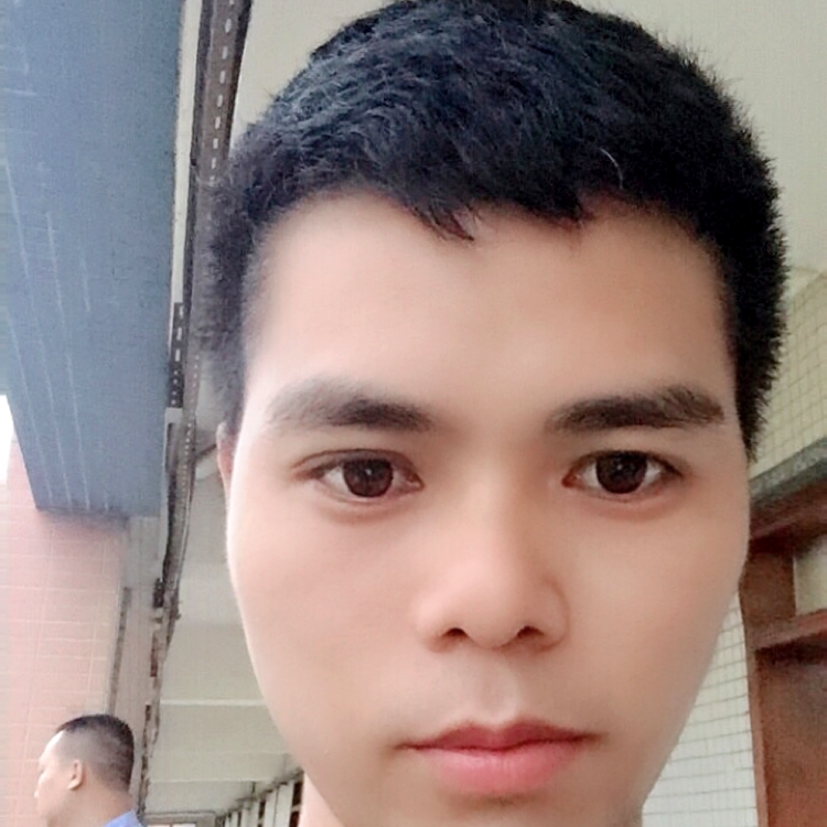 香菇苦恋美好的照片