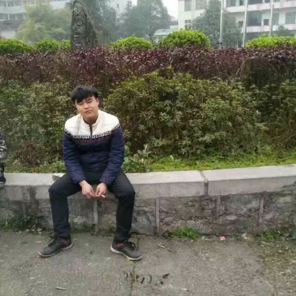 要减肥草丛的照片