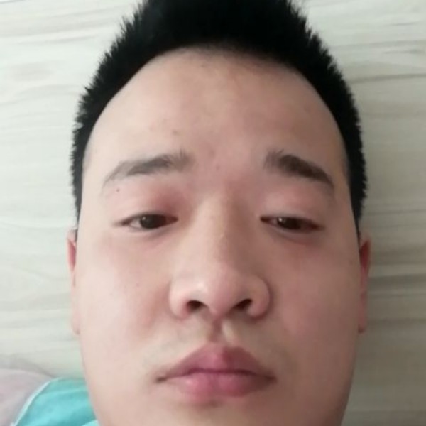 大树迷路的照片