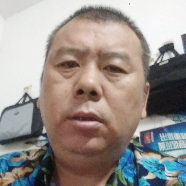 被伤过的狼的照片