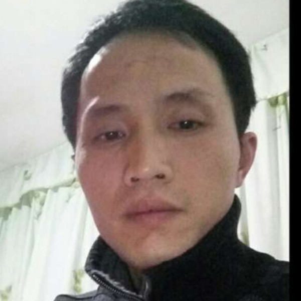 黄蜂愉快的照片