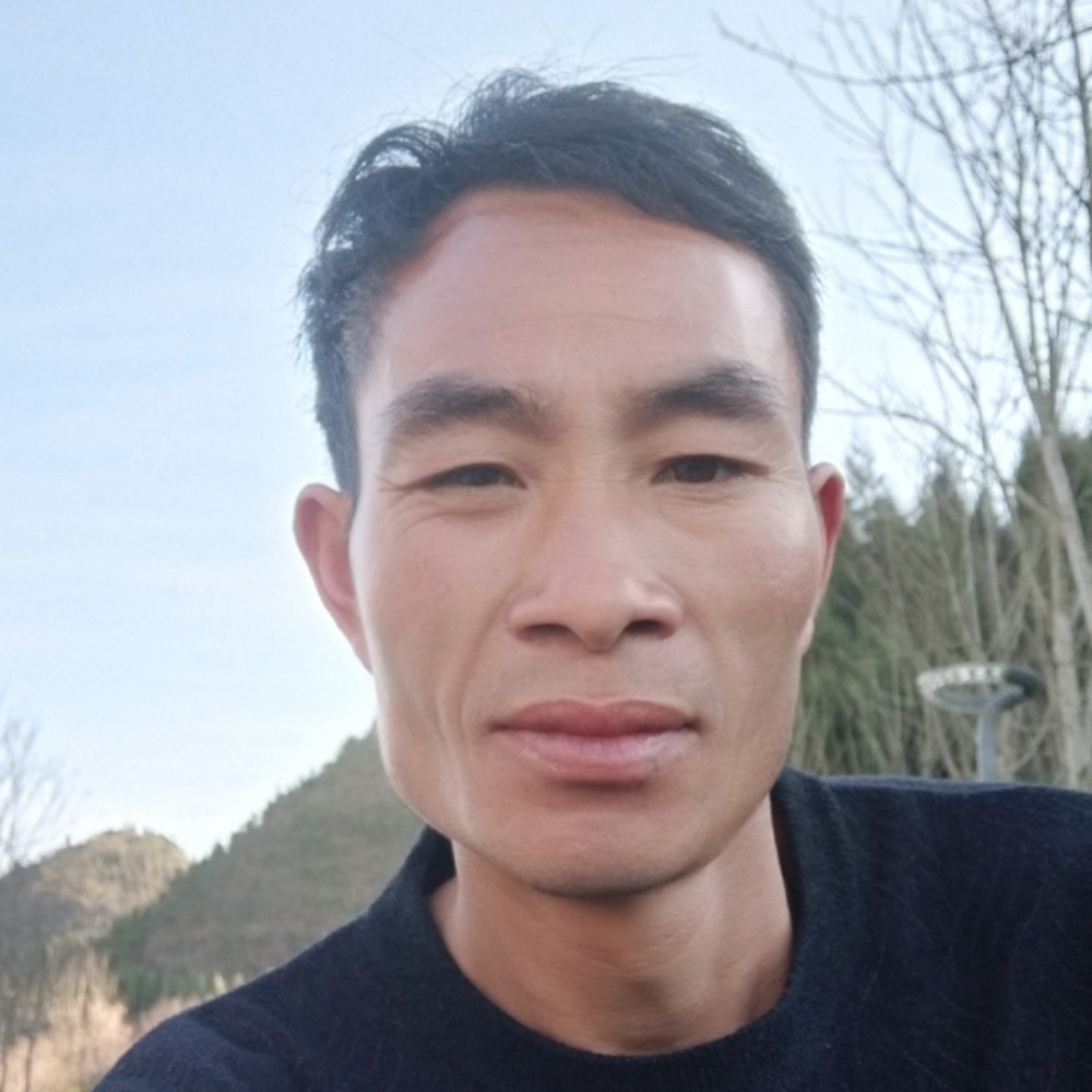 不写行不的照片