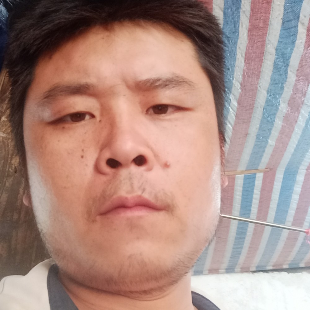 槟榔果果的照片