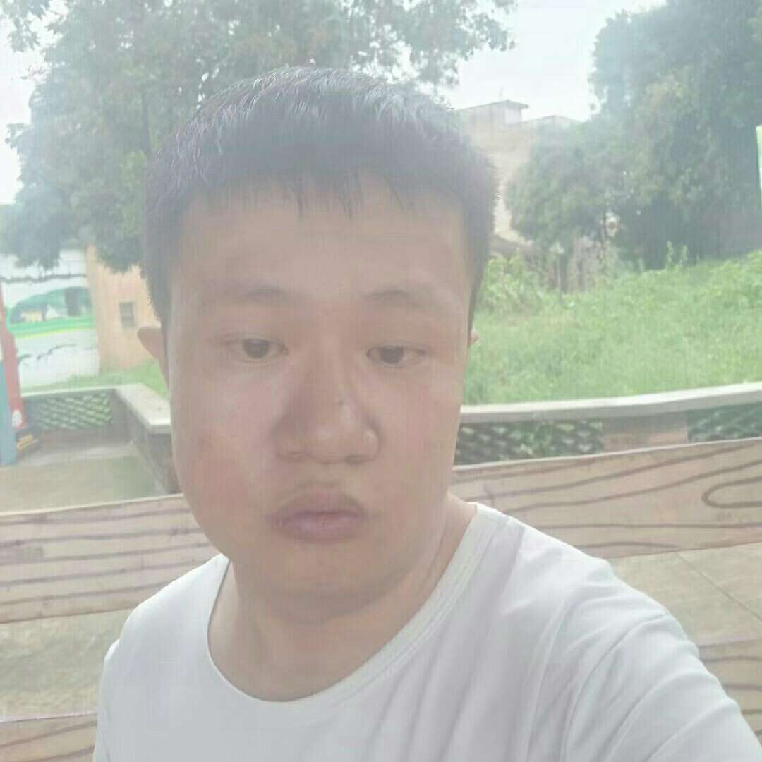 犹豫踢金毛的照片