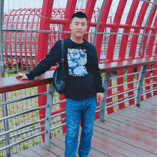 落后凝眸树叶的照片