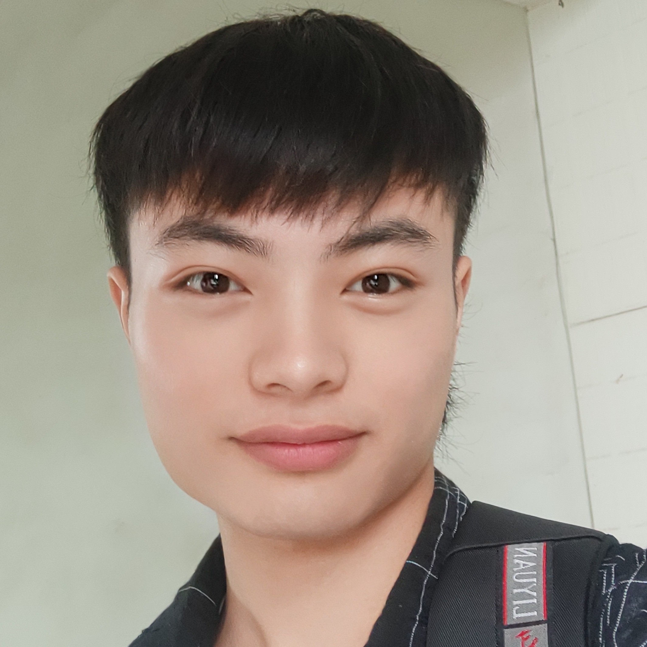 小熊猫漫步粗暴的照片