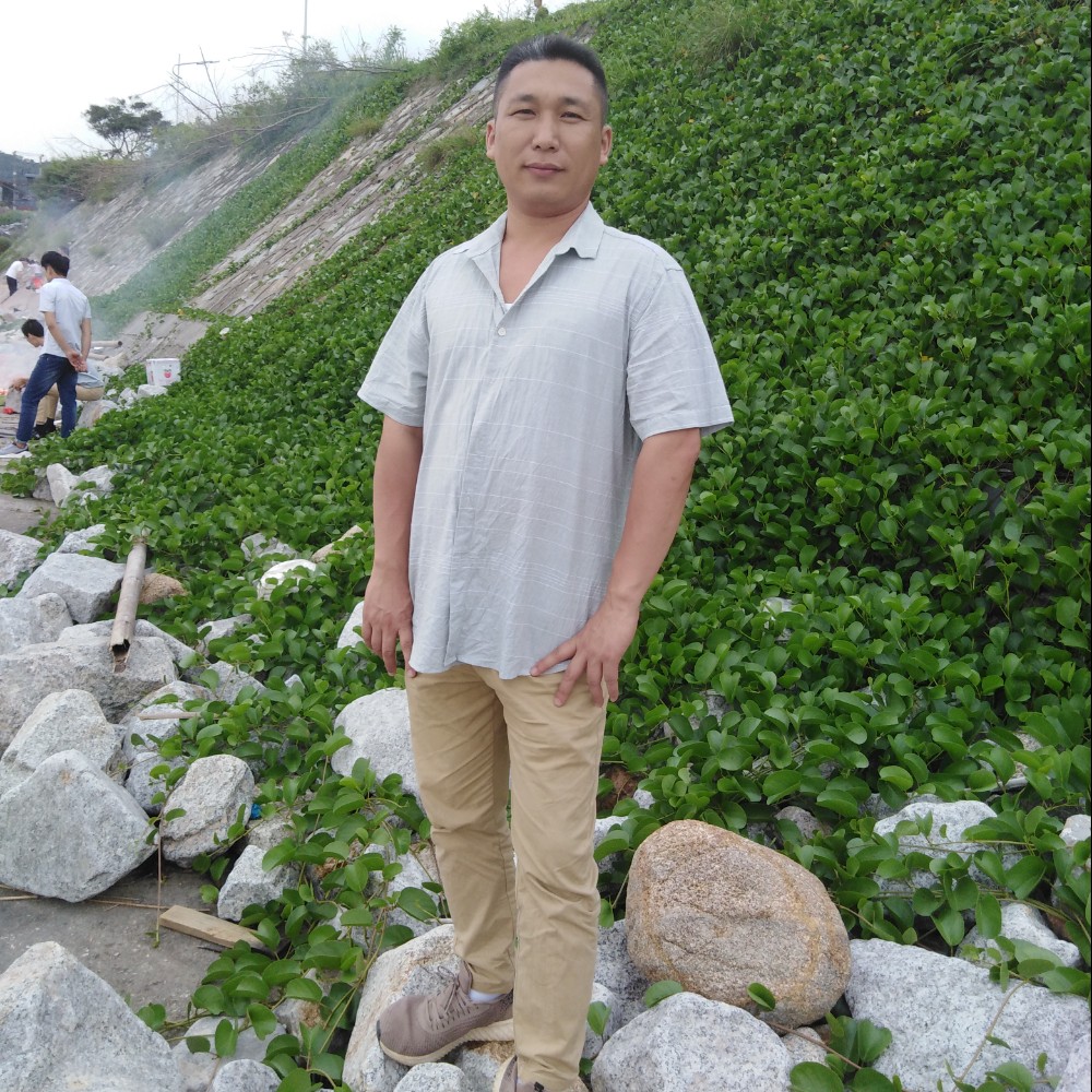 孤单的虾的照片