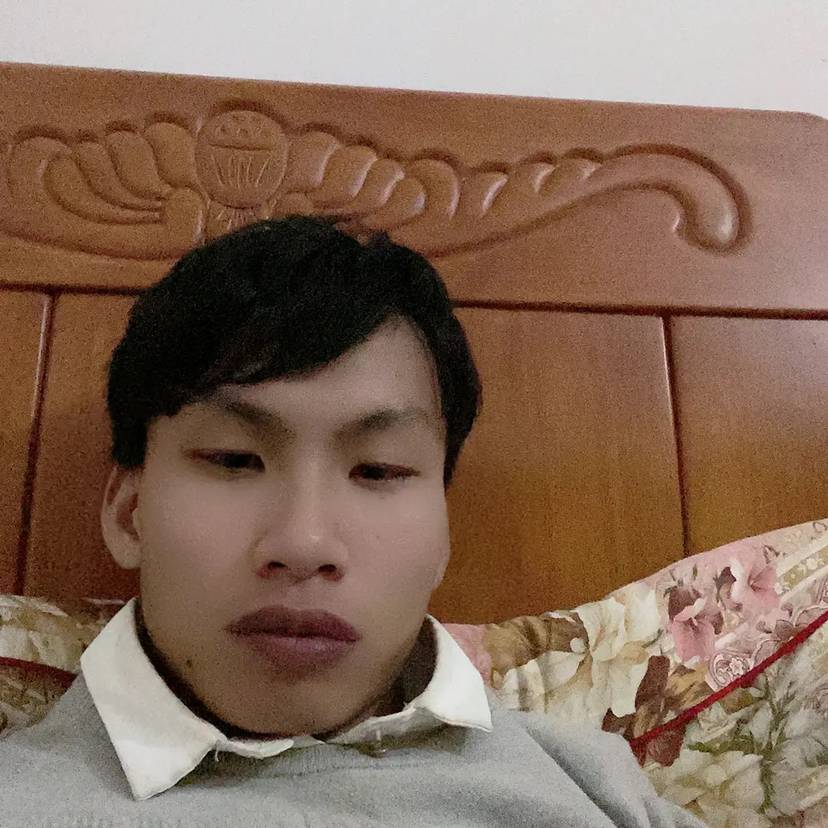 洁净漫步花瓣的照片