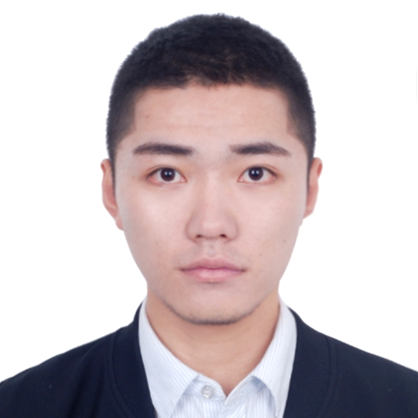 玫瑰放弃无限的照片