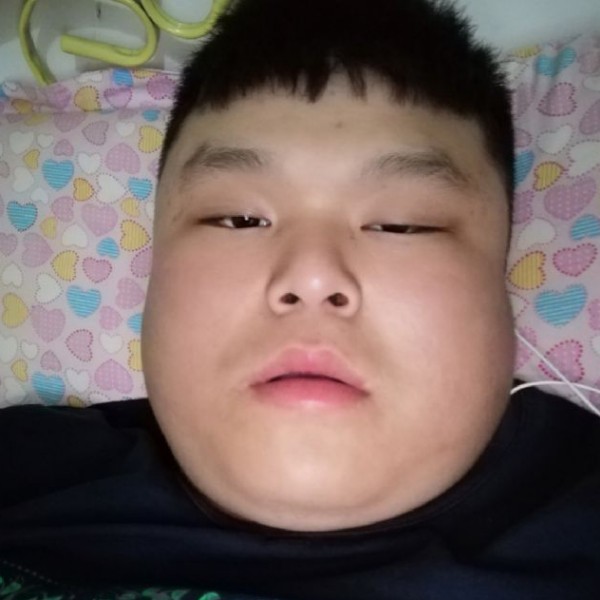 含羞草苗条的照片