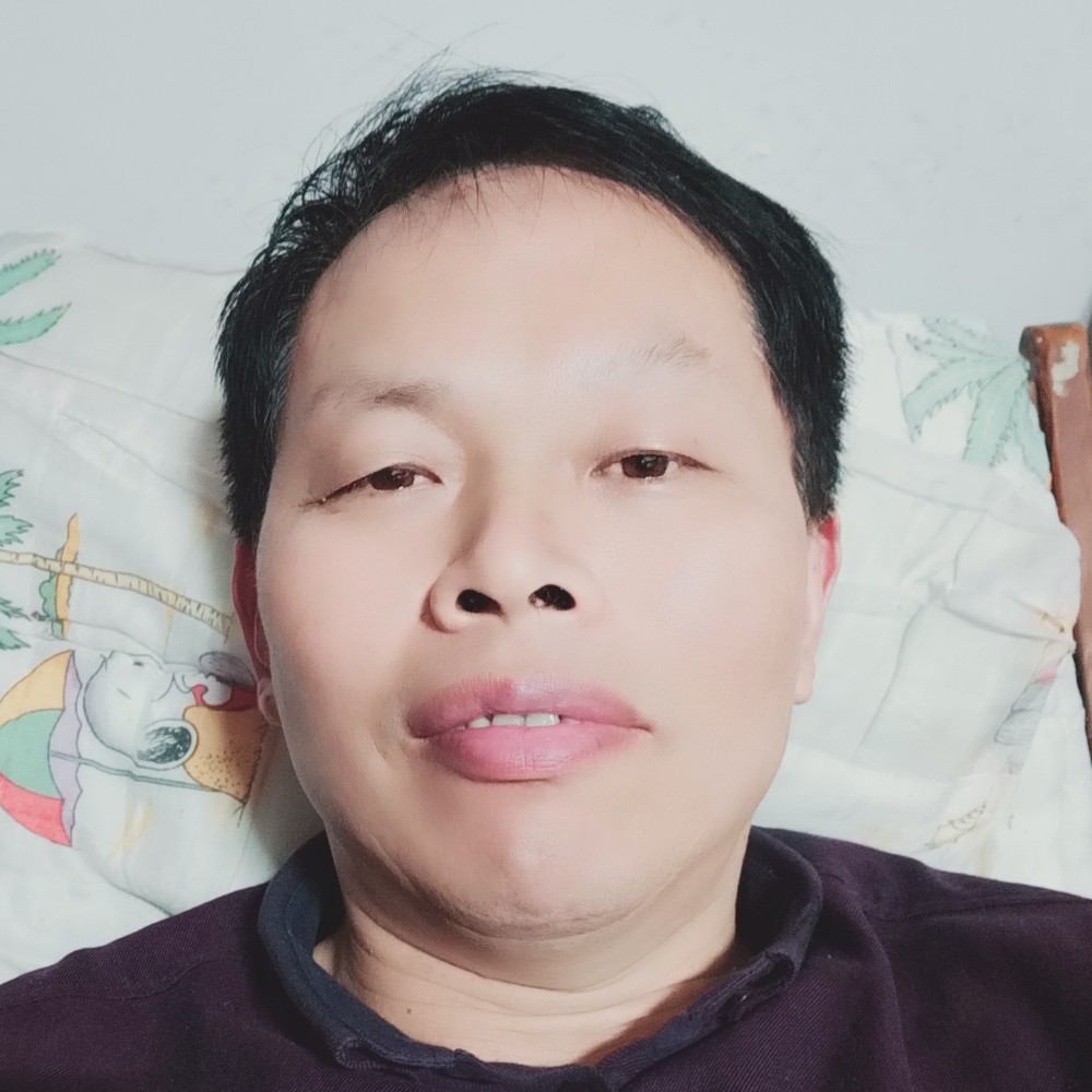 小懒猪疯狂的照片