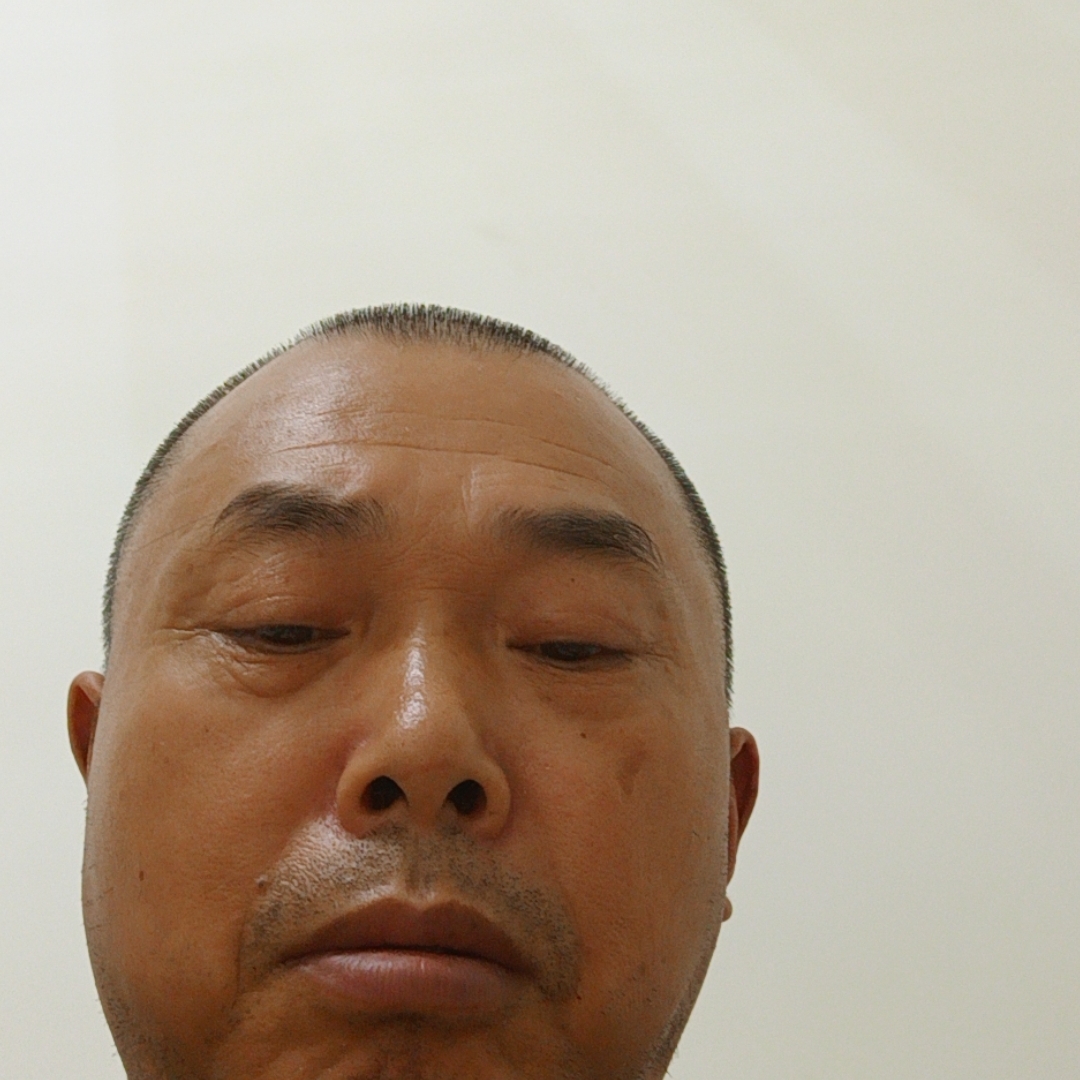 西牛倾心积极的照片