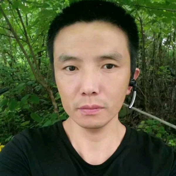 动人放弃月光的照片