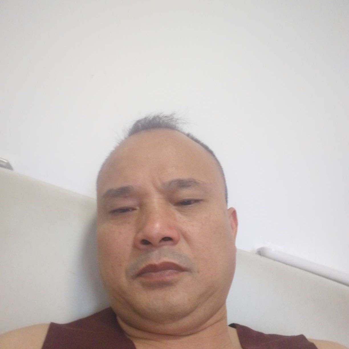 纸鹤那迅速的照片