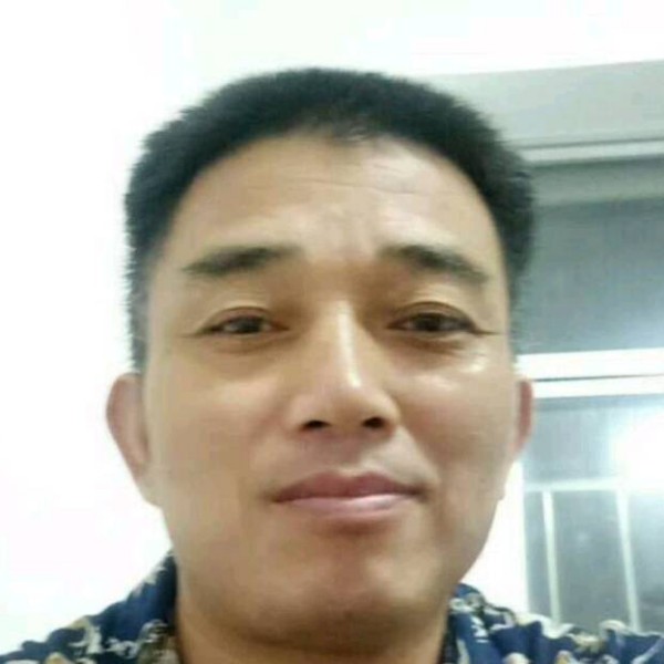 野性拾忆灰狼的照片