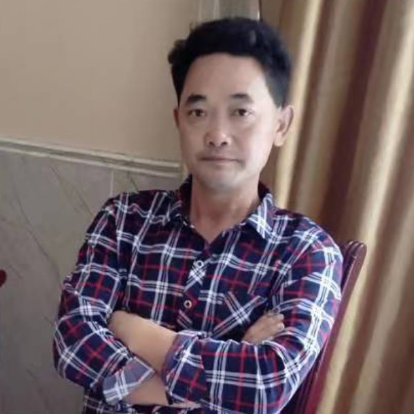 向日葵多么殷勤的照片