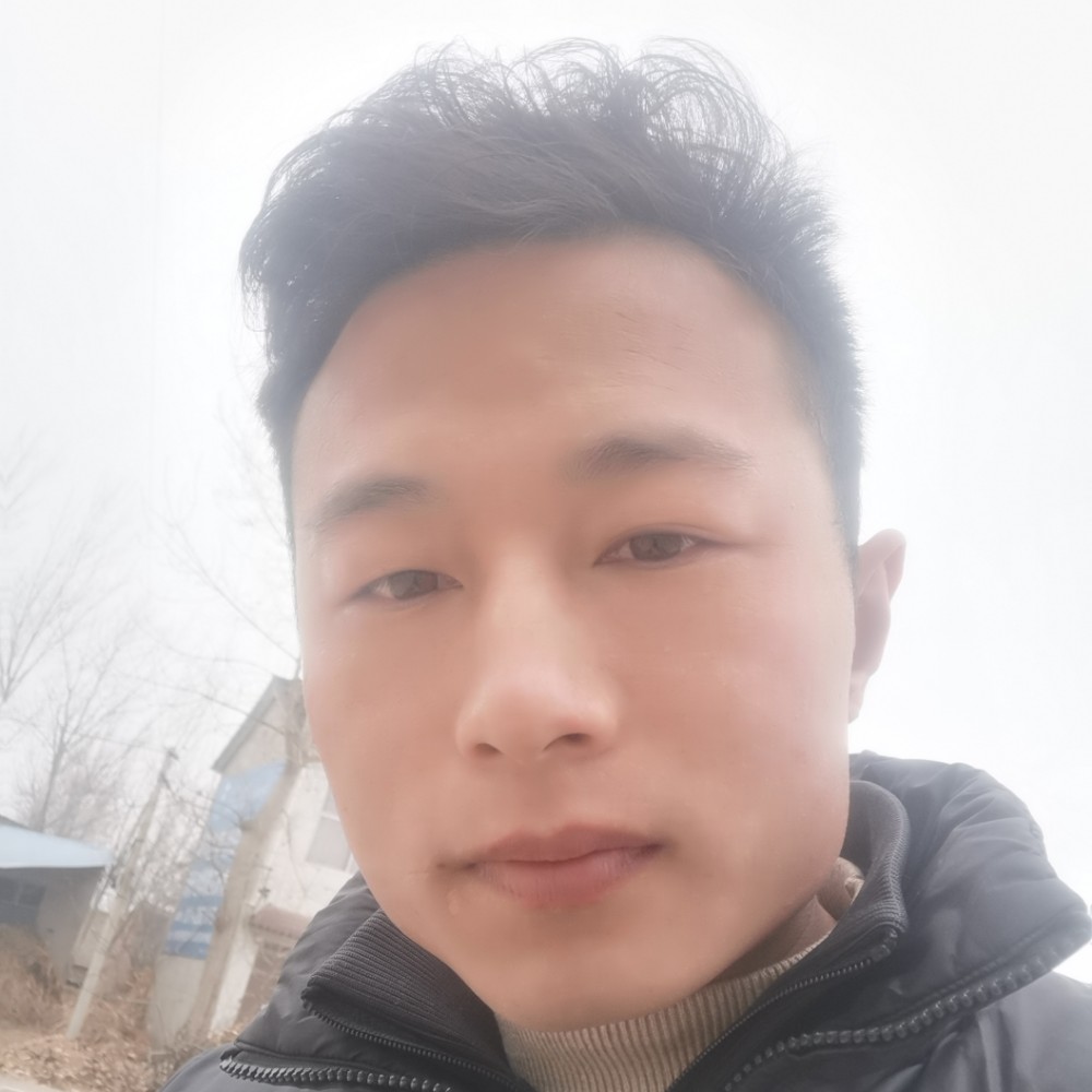 潇洒漫步康乃馨的照片