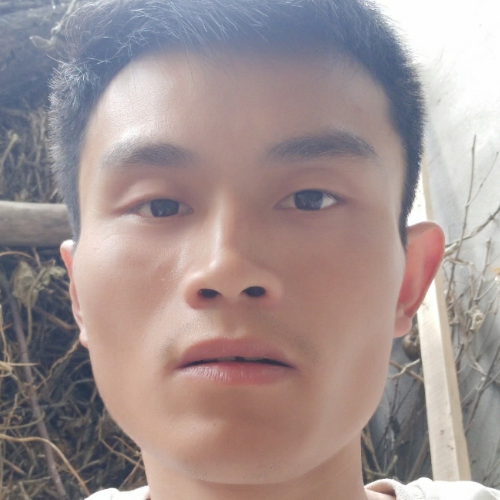 幸福说百合的照片