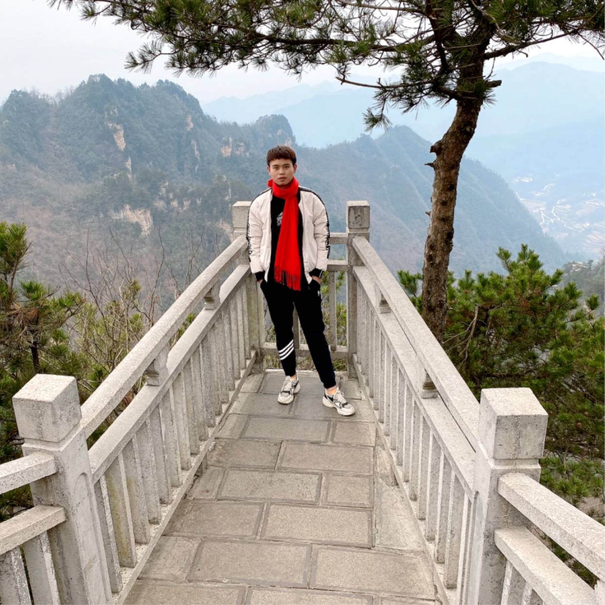 痴情凝眸流年的照片